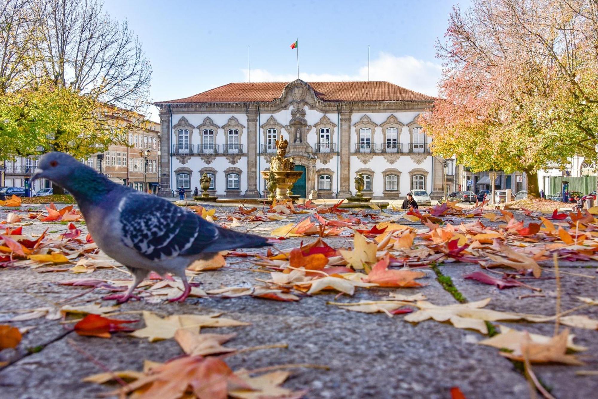 Apartament Tuxas House Braga Zewnętrze zdjęcie